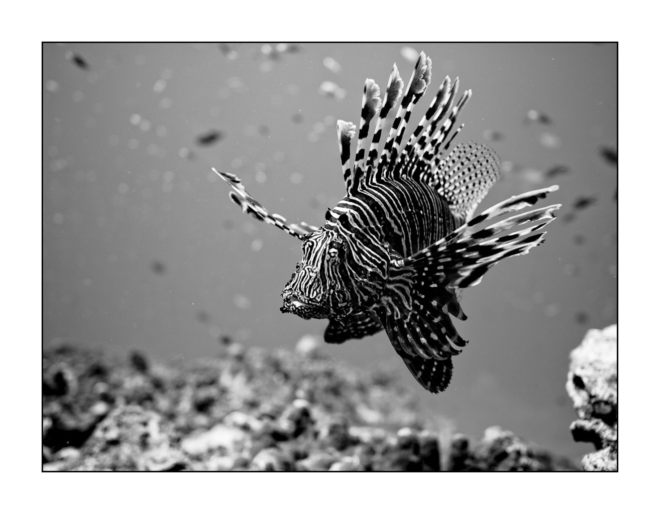 AutoWB: 7.89; 1.48; 1.00,  Kelvin=20000,  Tint=0.0382